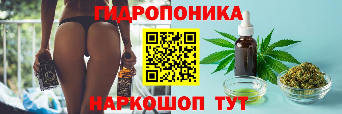Шишки марихуана Ganja Кольчугино